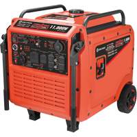 Tri-Fuel Inverter Generator Dufferin Supply