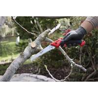 7” Folding Pruning Saw with ?Straight Blade Dufferin Supply
