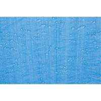 B&acirc;che, Standard, Bleu, 7' x 5' x 4 mils Dufferin Supply