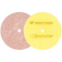Quick-Step Instant Polish Discs, 5" Dia. Dufferin Supply