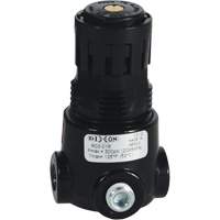 Wilkerson Miniature Regulator R03, 1/8" NPT, 300 psi Max. PSI, Standard Dufferin Supply