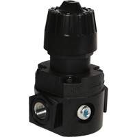 Wilkerson Compact Regulator R16, 1/4" NPT, 300 psi Max. PSI, Standard Dufferin Supply
