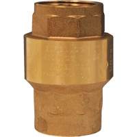 Horizontal Swing Check Valve Dufferin Supply