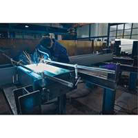 Serre-joint enti&egrave;rement en acier &agrave; double force variable Dufferin Supply