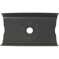 2-1/2" Paint Scraper Dufferin Supply