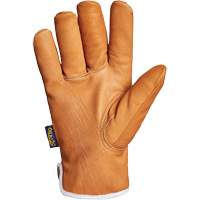 Endura&reg; Gloves, Large, Synthetic Palm, Thinsulate Inner Lining Dufferin Supply