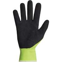 Dexterity&reg; Coated Gloves, 10, Latex Coating, 13 Gauge, Polyester Shell Dufferin Supply