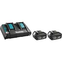 Ensemble de chargeur et batterie Dufferin Supply