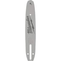 Guide-chaîne 10" pour scie &agrave; long manche Dufferin Supply