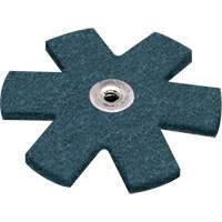 Ponçage Star Scotch-Brite Dufferin Supply