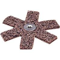 Ponçage Star Scotch-Brite Dufferin Supply