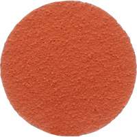 Lock Back Sanding Discs