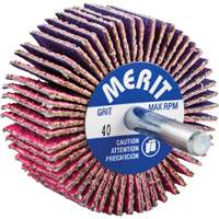 Mini-meule &agrave; lamelles mont&eacute;e sur tige, C&eacute;ramique d'alumine, Grain 40, 2" x 1" x 1/4" Dufferin Supply