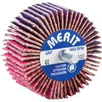 Mini-meule &agrave; lamelles filet&eacute;es, C&eacute;ramique d'alumine, Grain 40, 2" x 1" x 1/4"-20 Dufferin Supply