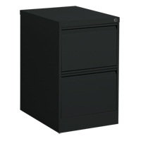 Vertical Filing Cabinet, Steel, 2 Drawers, 18-1/7" W x 25" D x 29" H, Black Dufferin Supply