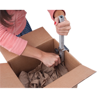 Carton Sizer Dufferin Supply