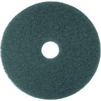 5300 Series Pad, 16", Cleaning, Blue PG207 | Dufferin Supply