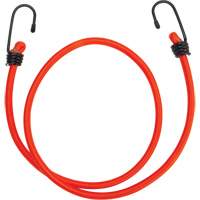 Bungee Cord Tie Downs, 36" PG637 | Dufferin Supply