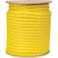 Corde jaune tress&eacute;e, Polypropyl&egrave;ne, 300' Dufferin Supply