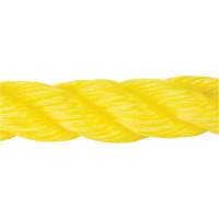 Corde jaune tress&eacute;e, Polypropyl&egrave;ne, 300' Dufferin Supply