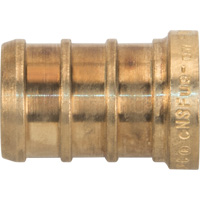 Lead-Free Pipe Plug, Pipe, 1/2" Dia., Brass Dufferin Supply