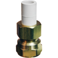 Transition Adapter, 1/2" Dia., Brass/CPVC Dufferin Supply