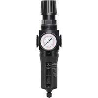 Manual Drain Filter/Regulator with Metal Bowl Modulair 300, 1/4" NPT, 250 PSI, 5.1 fl. oz. Capacity Dufferin Supply