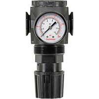 Regulator with Gauge Modulair 300, 1/4" NPT, 300 psi Max. PSI, In Line/Modular Dufferin Supply
