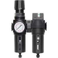 Manual Drain Filter, Regulator & Coalescing Filter with Standard Bowl Modulair 300, 1/4" NPT, 150 PSI, 5.1 fl. oz. Capacity Dufferin Supply