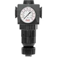 Regulator with Gauge Modulair 400, 3/4" NPTF, 125 PSI Max. PSI, In Line/Modular Dufferin Supply