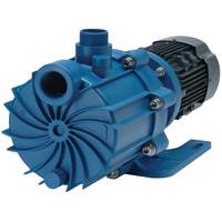 Self-Priming Magnetic Drive Pump with Carbon Bushing Dufferin Supply
