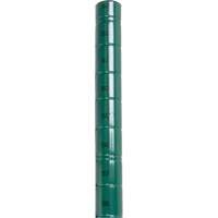 Heavy-Duty Green Epoxy Finish Wire Shelving Post Dufferin Supply