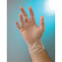 Examination Grade Gloves, Small, Vinyl, 4-mil, Powder-Free, Clear, Class 2 SAI677 | Dufferin Supply