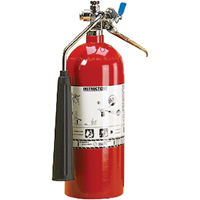 Aluminum Cylinder Carbon Dioxide (CO2) Fire Extinguishers, BC, 5 lbs. Capacity SAJ098 | Dufferin Supply