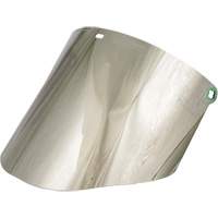 Face Protection
