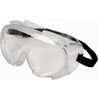 Encompass Safety Goggles, Clear Lens, Anti-Fog, Indirect Vent Dufferin Supply