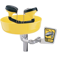 Poste de douche oculaire, Installation Support pour tuyau d'approvisionnement, Bol Plastique Dufferin Supply