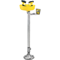 Poste de douche oculaire, Installation Socle, Bol Plastique Dufferin Supply