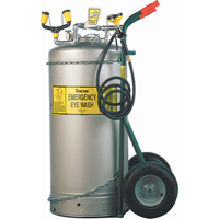Douche oculaire autonome, Pressuris&eacute;, Capacit&eacute; 37 gal., Conformit&eacute; ANSI Z358.1 Dufferin Supply