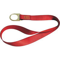 PointGuard Anchorage Connector Straps, D-Ring, Temporary Use Dufferin Supply