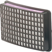 Speedglas Respiratory Protection-replacement Filters & Cartridges, P100 Filter, Pack of 2 Dufferin Supply