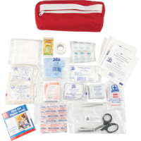 Trousse de premiers soins, Dispositif m&eacute;dical Classe 1, Sac en nylon Dufferin Supply