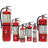 Fire Extinguisher, ABC, 30 lbs. Capacity SED110 | Dufferin Supply