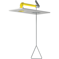 Horizontal Supply Emergency Shower Stations, Ceiling-Mount Dufferin Supply