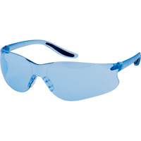 Z500 Series Safety Glasses, Blue Lens, Anti-Scratch, ANSI Z87+/Meets/Exceeds CSA Z94.3 Dufferin Supply
