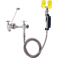 Faucet & Eyewash Station, Sink Mount Installation SAY103 | Dufferin Supply