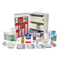 Workplace Deluxe First Aid Kits, Class 1 Medical Device, Metal Box Dufferin Supply