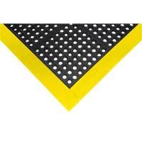 Border Ramp for Matting Dufferin Supply