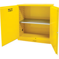 Flammable Storage Cabinet, 30 gal., 2 Door, 43" W x 44" H x 18" D Dufferin Supply