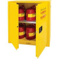 Flammable Storage Cabinet, 30 gal., 2 Door, 43" W x 44" H x 18" D Dufferin Supply